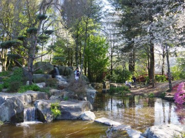 ile de Versailles mars 2019 (7) Jacques Soignon