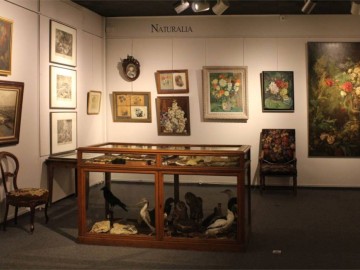 ©Musée de Fontenay-le-Comte