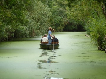 Didier MOREAU Embarcadère de l'Abbaye