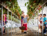 Destination Pornic : succombez à ses produits du terroir