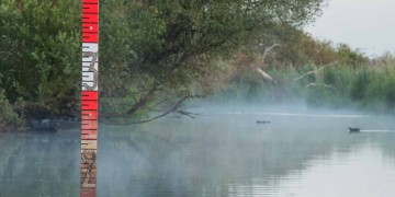 The Lac de Grand-Lieu, a paradise for birds