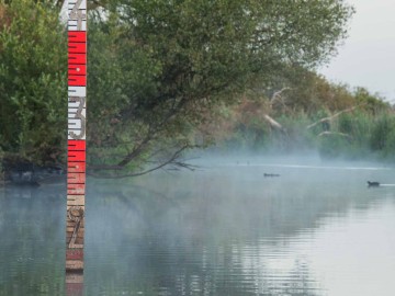 Lac de Grand Lieu au petit matin