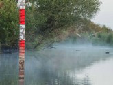 The Lac de Grand-Lieu, a paradise for birds