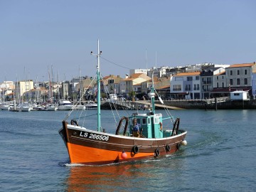 Le Kifanlo, sortie pêche en mer