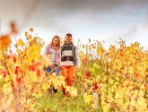 Winemaking estates and wine tourism
