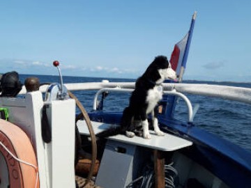 Vendée des Iles