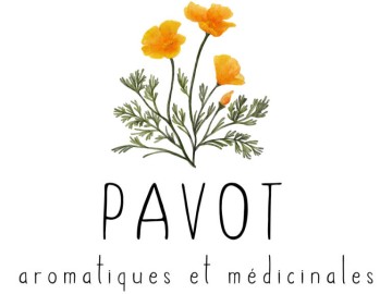 Pépinière Pavot