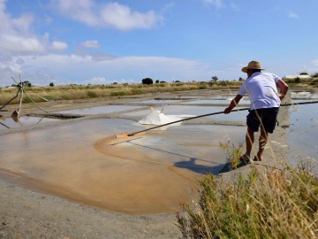 Marais salants Les Salines