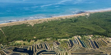 Perfectly seasoned tours in Guérande and Noirmoutier