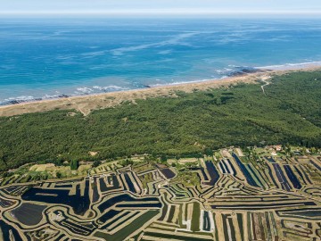 Marais d'Olonne-sur-Mer
