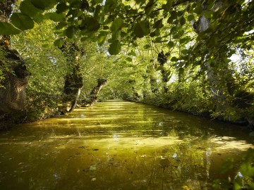Marais Poitevin