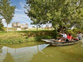 Explore Green Venice!