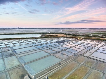 Marais salants - Guérande