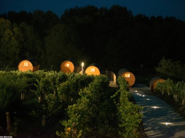 ©Vignoble Marchais