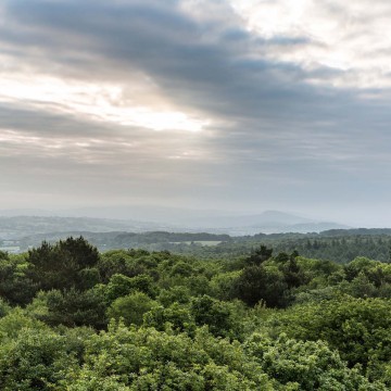 Le Mont des Avaloirs: Western France's answer to Everest!