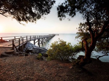 Bois de la Chaize - Noirmoutier