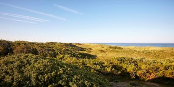 Tour the Vendée and enjoy the wines of the Fiefs Vendéens