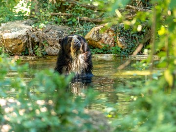 Bioparc-S.Gaudard