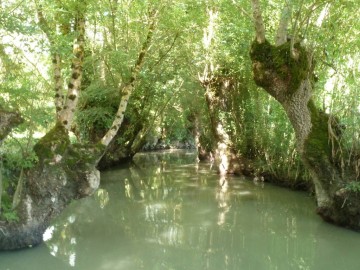 Didier MOREAU Embarcadère de l'Abbaye