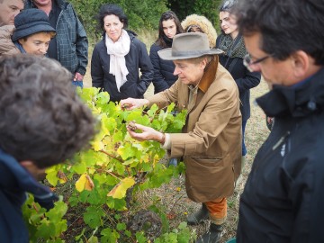 Domaine du Closel Photo Th. Le Gourrierec