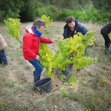 Become a winemaker for the day