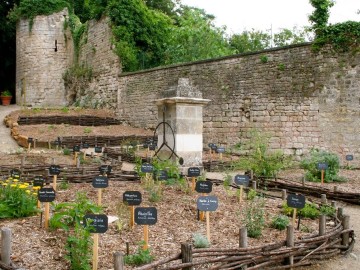 parc-baron-fontenay-le-comte-85-pcu-2 ©Office-de-Tourisme