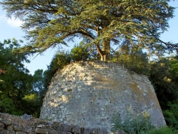 parc-baron-fontenay-le-comte-85-pcu-3 ©Office-de-Tourisme