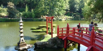 A total culture shock in the Parc Oriental de Maulévrier!