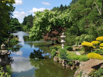 Parc_Oriental_Maulevrier3
