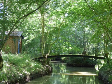 Didier MOREAU Embarcadère de l'Abbaye