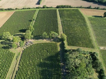 Photo page d'accueil Domaine de Huillé ©Gazeau