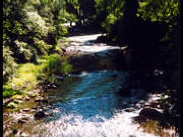 site-naturel-classe-des-alpes-mancelles-saint-leonard-des-bois-72-pna-2 © PHS