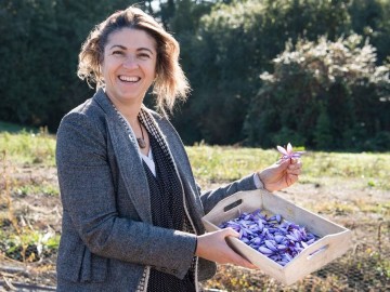 produit-terroir-local-safran-cynfael-saint-sauveur-landemont ©D.Drouet