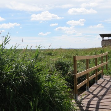 Things to do in Brière Regional Nature Park 