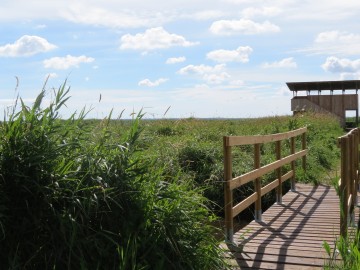 Parc naturel régional de Brière