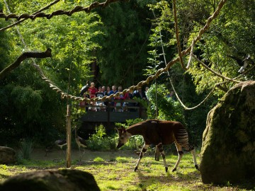 Bioparc
