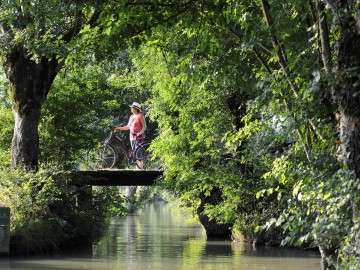 Découverte du Marais poitevin en vélo - Marais de Maillezais - Sud vendée