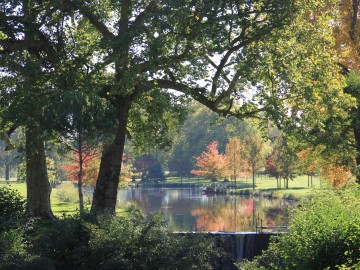 Parc du château de Brissac