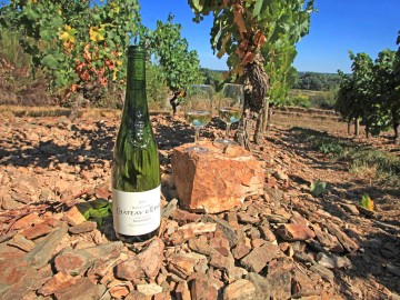 Domaine d'Epiré - Savennières - Anjou