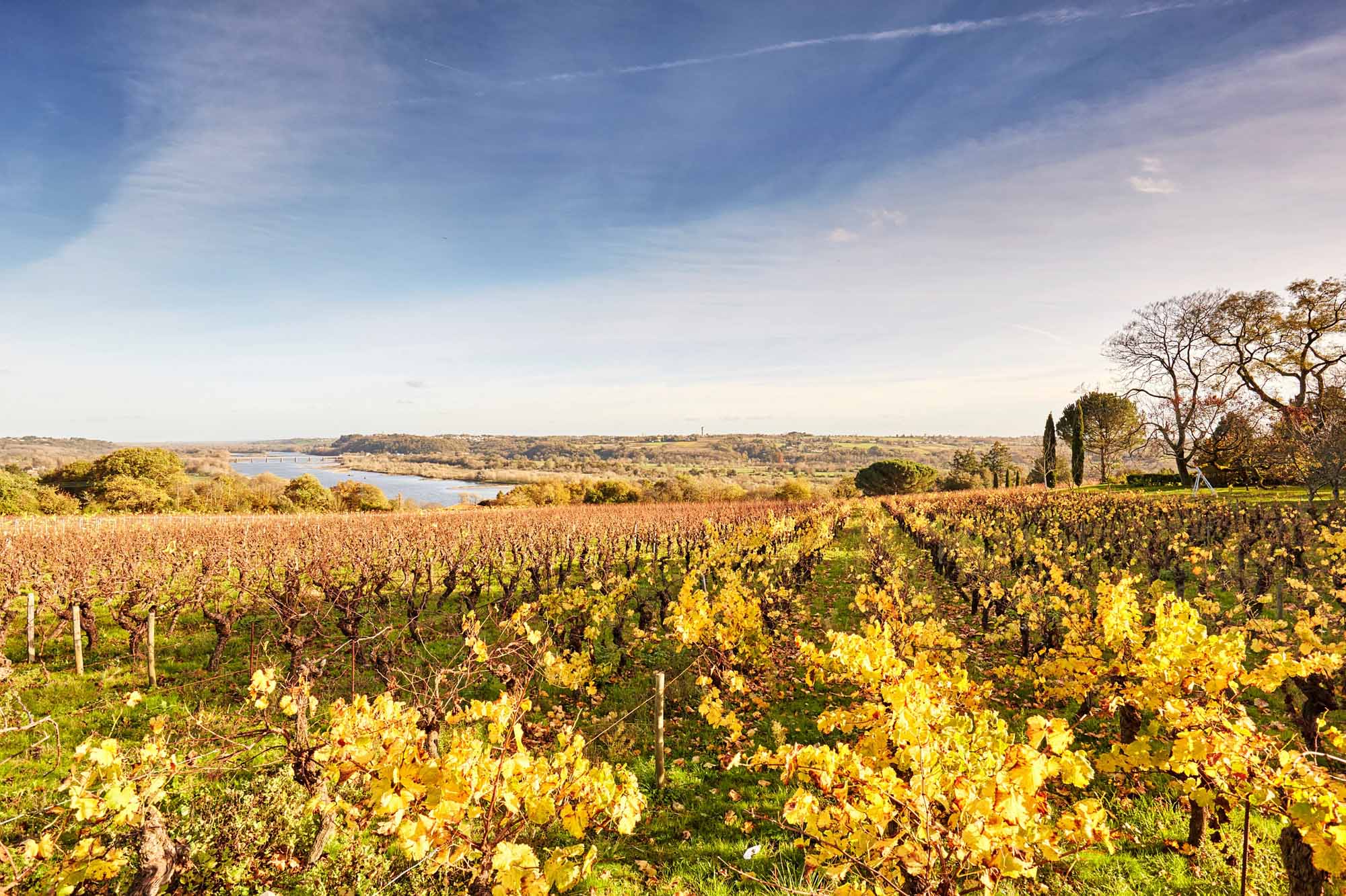 Le Cellier - Saint-Méen - Photo A. Lamoureux