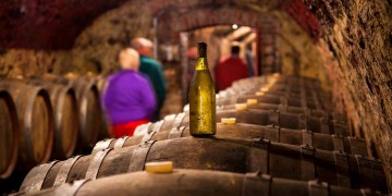Explore the Loir Valley and discover its fruity white wines