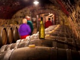 Explore the Loir Valley and discover its fruity white wines