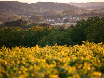 Village de Lhomme depuis les côteaux du Jasnières - Vallée du Loir	© J.Ph Berlose-Cemjika