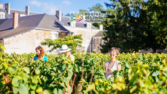Château du Coing - Lieu-dit La Bourchinière à Saint-Fiacre