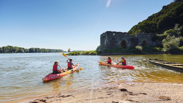Balade en canoës en Pays de la Loire à Champtoceaux