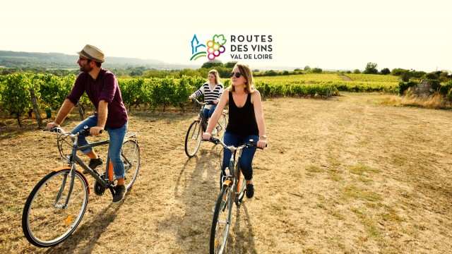 Découverte du vignoble du Jasnières à vélo - Vallée du Loir