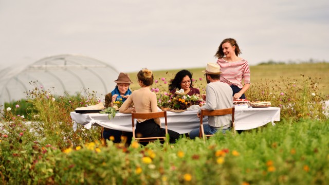 Moment conviviale dans les Jardins de Souvré en Pays de la Loire