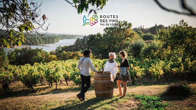 Domaine des Génaudières - Le Cellier