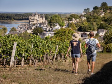 Balade dans les vignes - Montsoreau