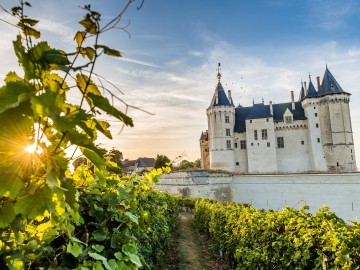 Château de Saumur - Anjou
